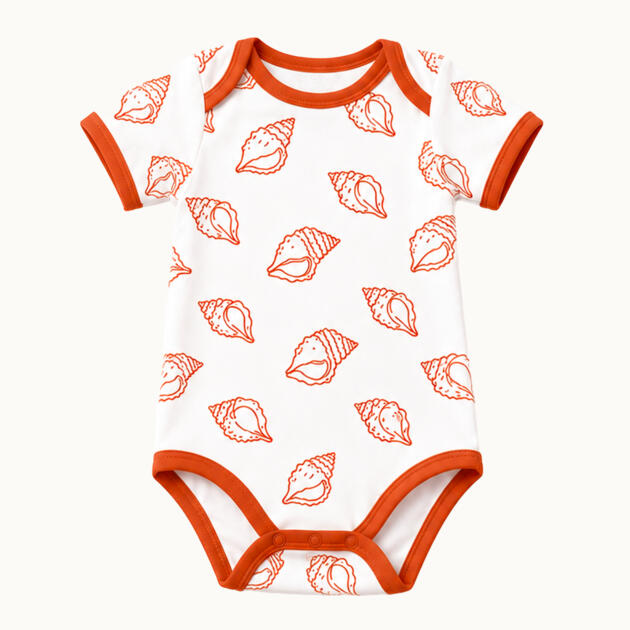 Body Coque À Lambi